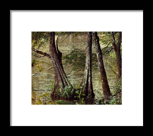 Tree Framed Print featuring the photograph Davids River by Linda Cox