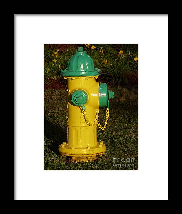 Fire Hydrant Framed Print featuring the photograph Dawgs Best Friend... by George DeLisle