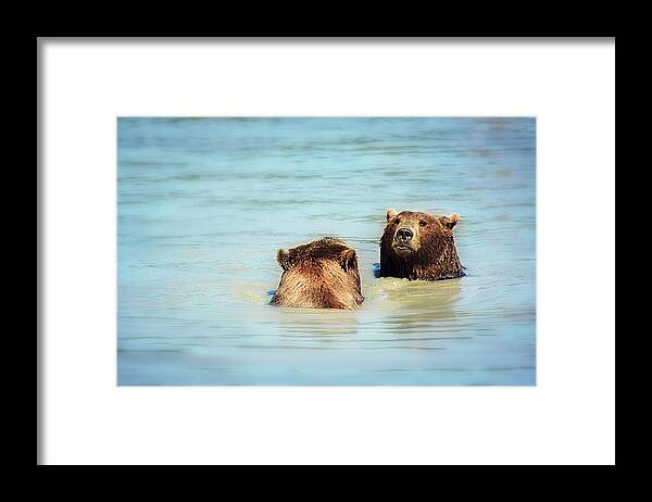 Bear Framed Print featuring the photograph Day at the Spa by Melanie Lankford Photography