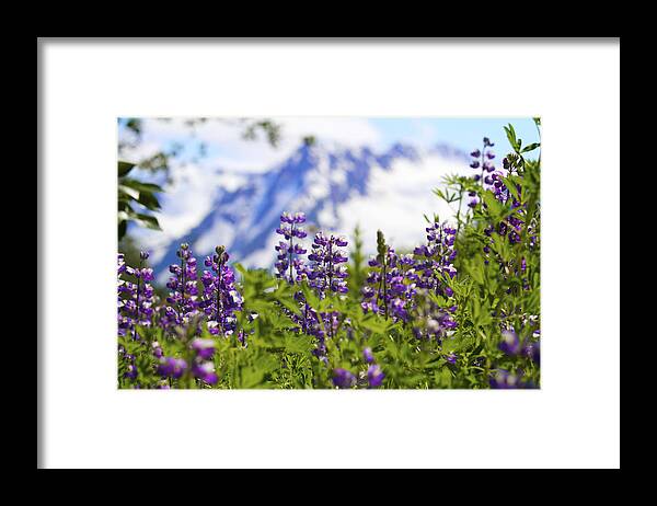 Chugach Framed Print featuring the photograph Day Dream by Scott Slone