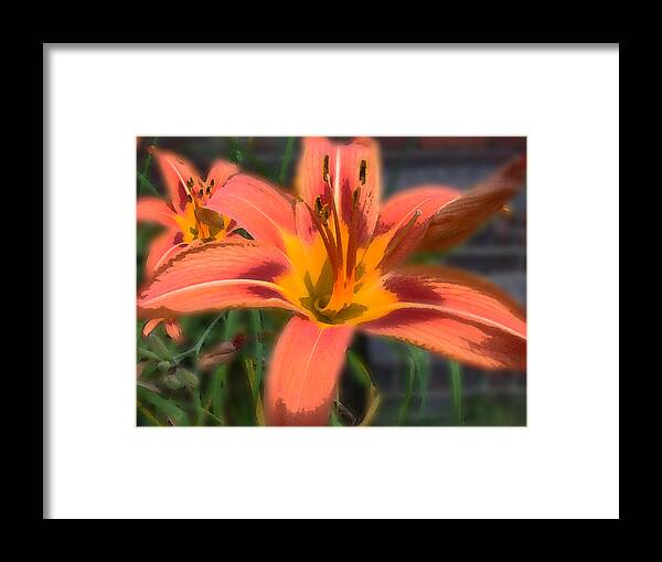 Lillly Framed Print featuring the photograph Day Lilly by David Armstrong