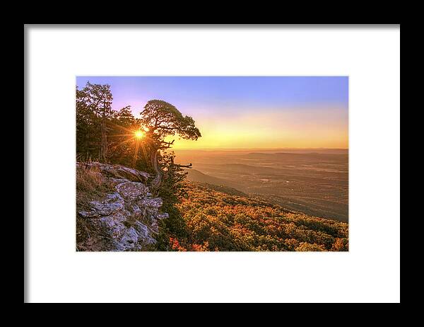 Mt. Magazine Framed Print featuring the photograph Daybreak on Mt. Magazine - Arkansas - Cedar Tree - Autumn by Jason Politte