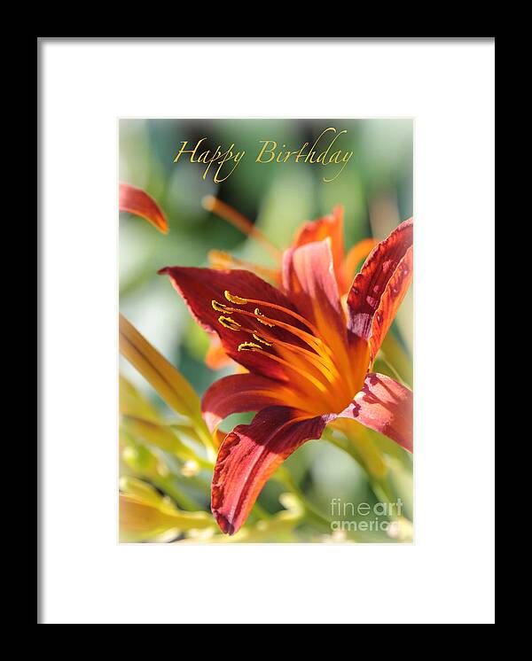 Daylily Framed Print featuring the photograph Daylily Birthday Card by Carol Groenen