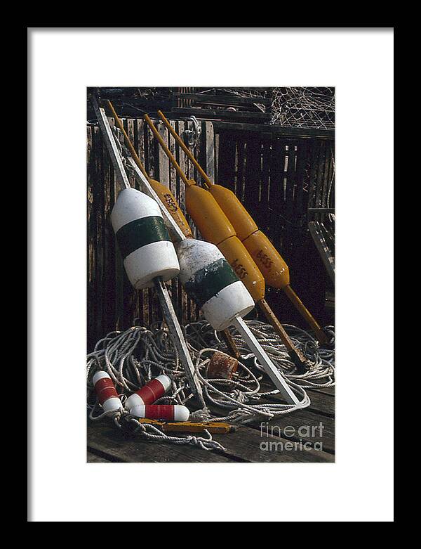 Lobster Framed Print featuring the photograph Day's Work Done by ELDavis Photography