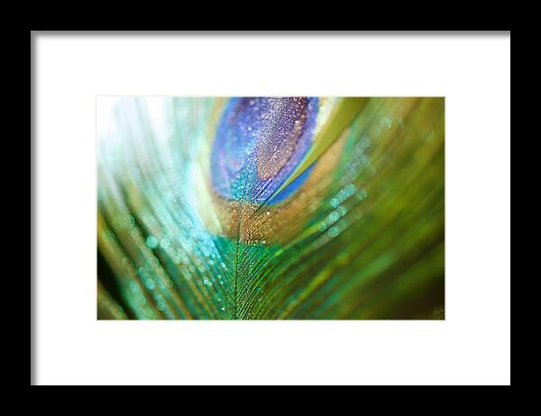 Colour Framed Print featuring the photograph Dazzling Light by Lisa Knechtel