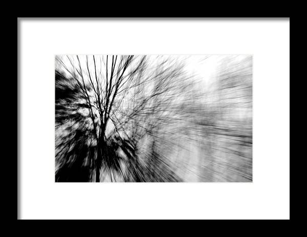 Ash Tree Framed Print featuring the photograph Dead Ash by Jackie Novak