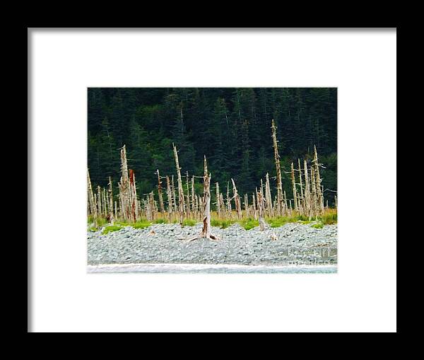 Dead Forest Framed Print featuring the photograph Dead Forest Alaska by Brigitte Emme