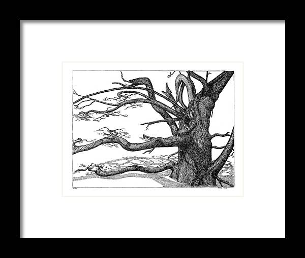 Nature Framed Print featuring the drawing Dead Tree by Daniel Reed