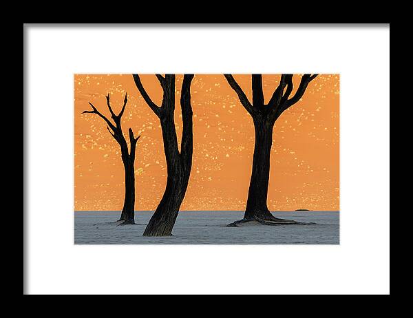 Sand Dune Framed Print featuring the photograph Dead Trees Against A Dune Background by Jeremy Woodhouse