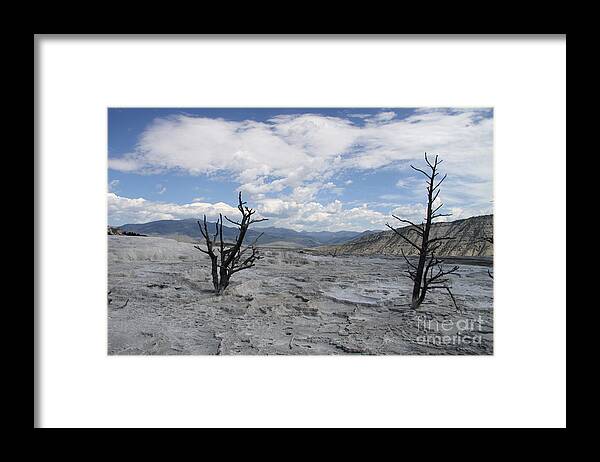 Mammoth Hot Spring Framed Print featuring the photograph Dead Trees at Mammoth Hot Springs by Christiane Schulze Art And Photography