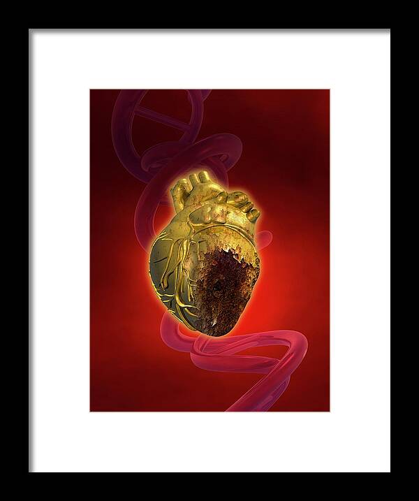 Artwork Framed Print featuring the photograph Decaying Heart by Victor Habbick Visions