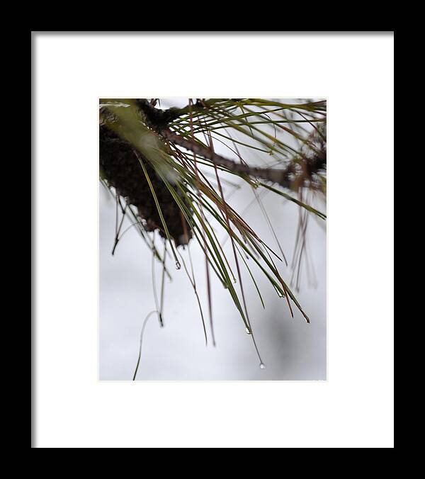 December's Raindrops Framed Print featuring the photograph December's Raindrops by Maria Urso
