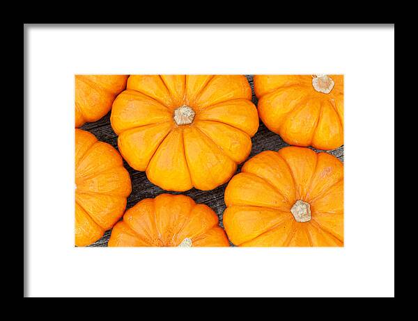 Pumpkins Framed Print featuring the photograph Decorative pumpkins by Alexey Stiop