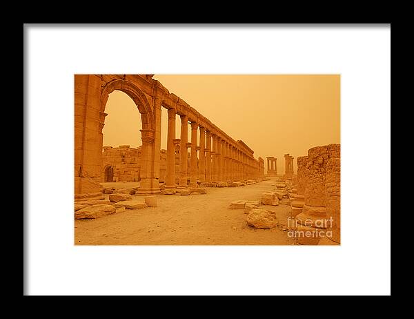 Decumanus Framed Print featuring the photograph Decumanus the colonnaded street at Palmyra Syria in the light after a sandstorm by Robert Preston