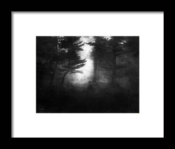 Rabbit Framed Print featuring the photograph Deep In The Dark Woods by Theresa Tahara