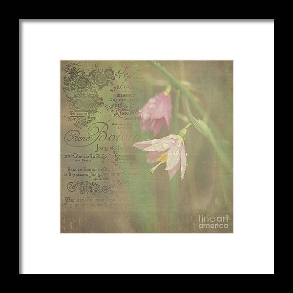 Pink Wildflowers Framed Print featuring the photograph Delicate Blooms by Sharon Elliott