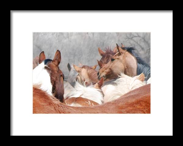 Horses Framed Print featuring the photograph Delicate Illusion by Kae Cheatham