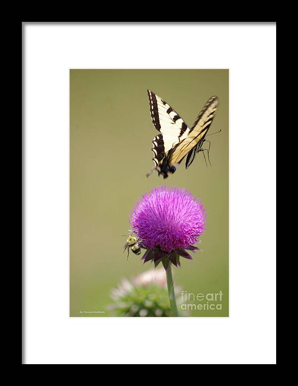 Thistle Framed Print featuring the photograph Departing by Tannis Baldwin