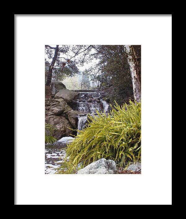 Photo Framed Print featuring the photograph Descanso Gardens 1 by Laura Hamill