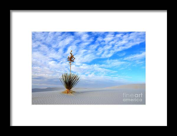 Alamogordo Framed Print featuring the photograph Desert Beauty White Sands New Mexico by Bob Christopher