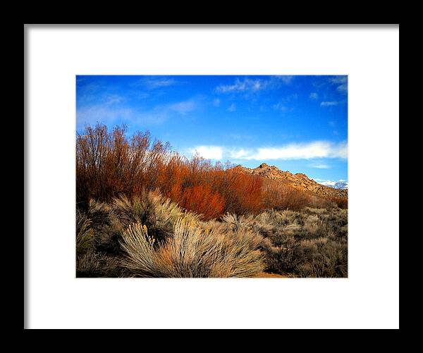 Desert Framed Print featuring the photograph Desert Colors by Marilyn Diaz