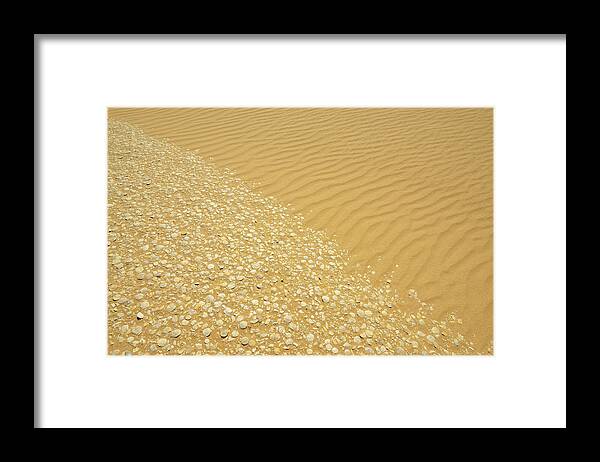 Tranquility Framed Print featuring the photograph Desert Floor by Raimund Linke