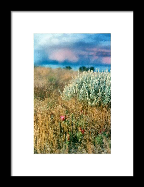 Desert Framed Print featuring the photograph Desert Flowers by Michelle Calkins
