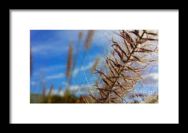 Art Framed Print featuring the photograph Desert Foliage by Chris Tarpening