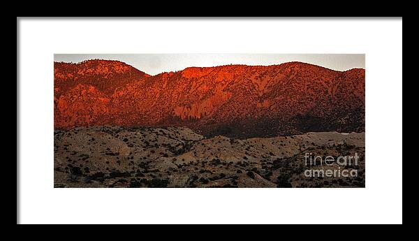 New Mexico Framed Print featuring the photograph Desert in New Mexico by Alison Caltrider