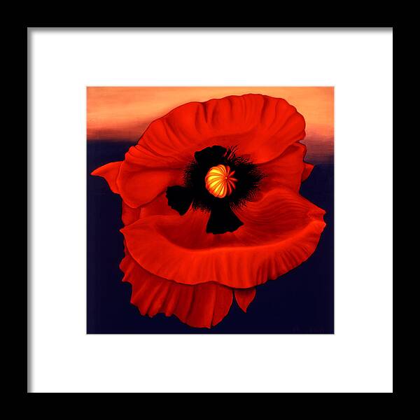Flower Prints Framed Print featuring the painting Desert Poppy by Anni Adkins