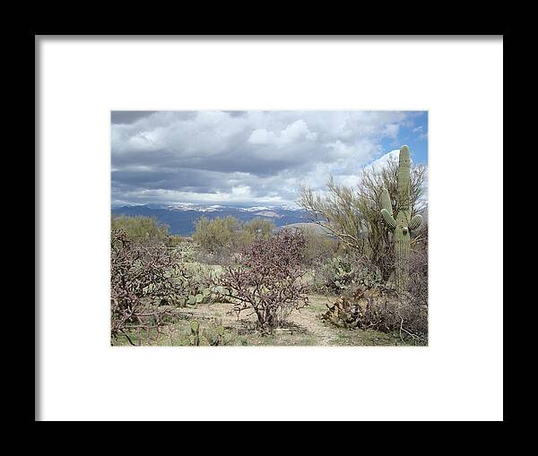 Desert Landscape Framed Print featuring the photograph Desert Scene by Susan Woodward