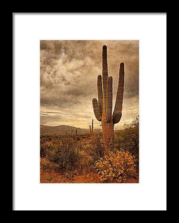 Cactus Framed Print featuring the photograph Desert Sentinels by Leda Robertson