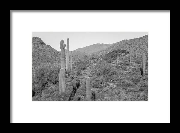 Sonoran Desert Framed Print featuring the photograph Desert Vista by Aaron Burrows