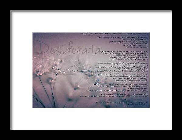 Desiderata Framed Print featuring the photograph Desiderata - Dandelion Tears by Marianna Mills