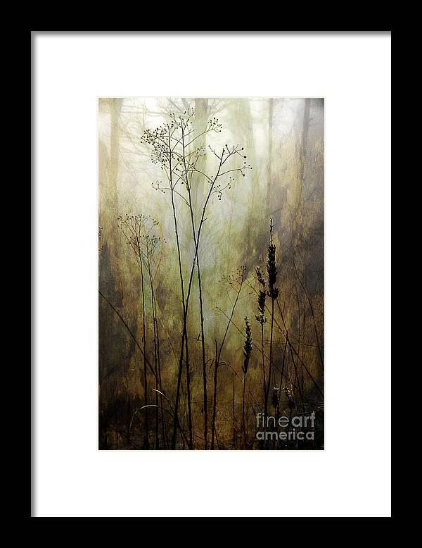 Fog Framed Print featuring the photograph Destiny Of The Silence by Michael Eingle