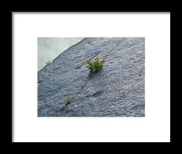 Granite Framed Print featuring the photograph Determination by Paul Foutz