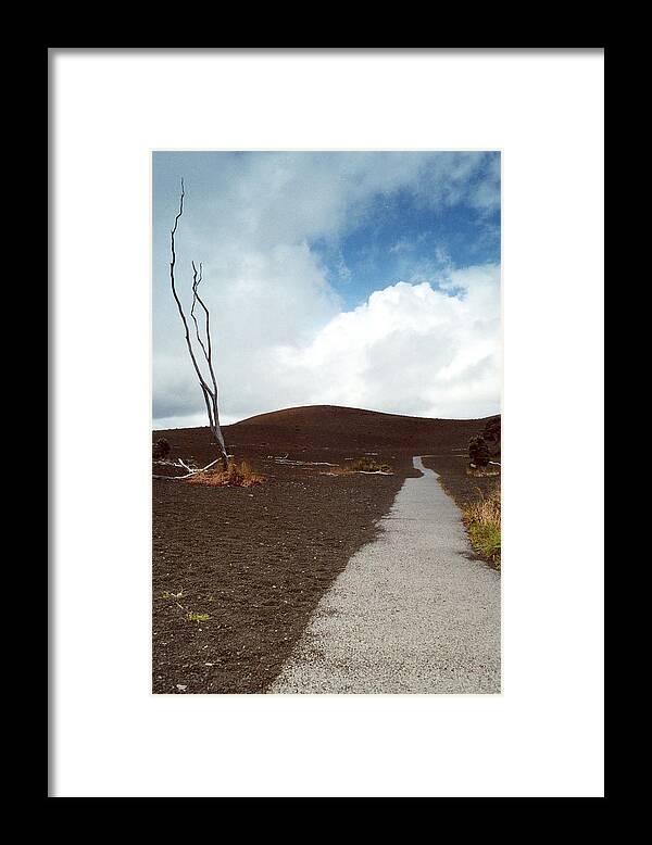 Devastation Trail Framed Print featuring the photograph Devastation Trail by Mary Bedy