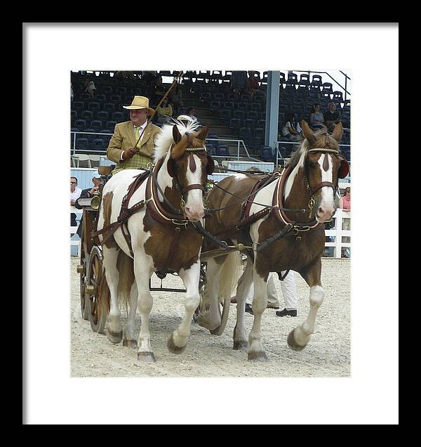 Devon Horse Show Framed Print featuring the photograph Devon a by Mary Ann Leitch