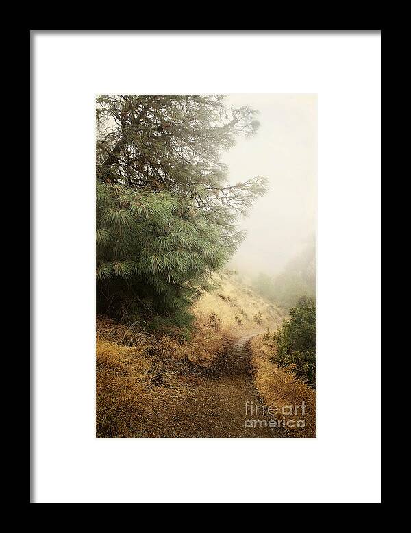 Fog Framed Print featuring the photograph There and Back Again by Ellen Cotton