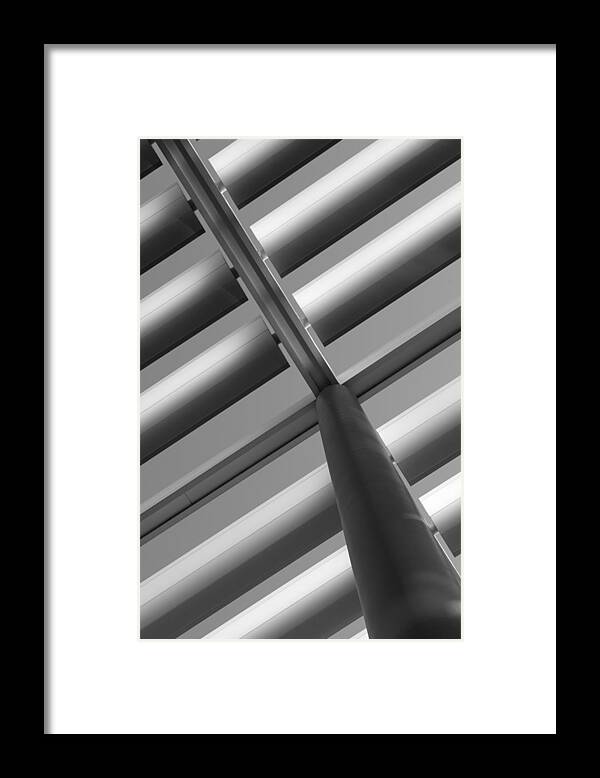 Diagonal Framed Print featuring the photograph Diagonal Lines by Darryl Dalton