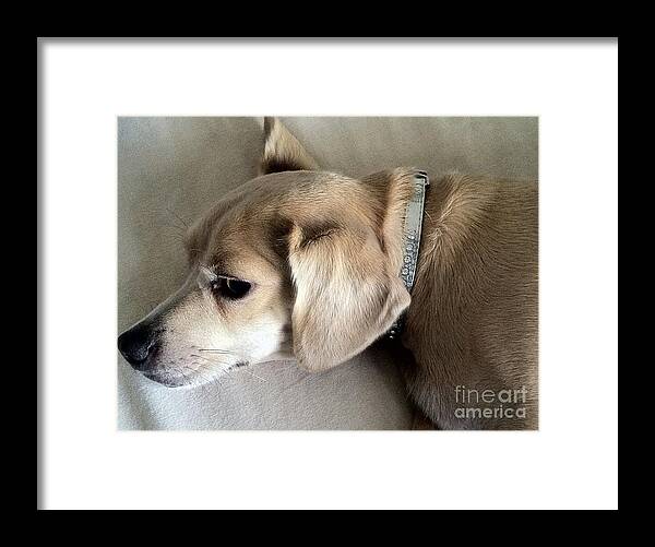 Princess Betty Biscuits Framed Print featuring the photograph DiaMonD GiRL by Angela J Wright
