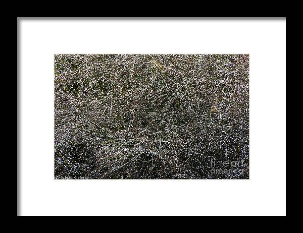 Flower Framed Print featuring the photograph Diamonds In The Rough by Susan Herber