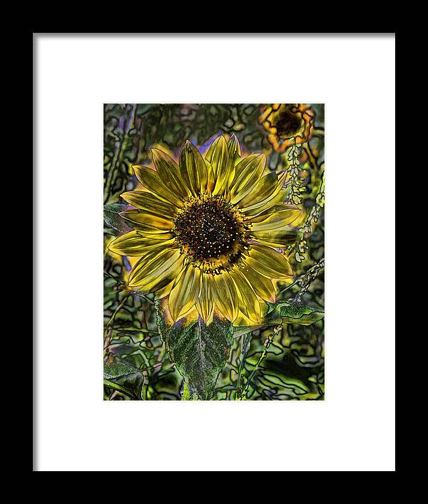 Sunflower Framed Print featuring the digital art Digital Painting Series Sunflower Brilliant by Cathy Anderson