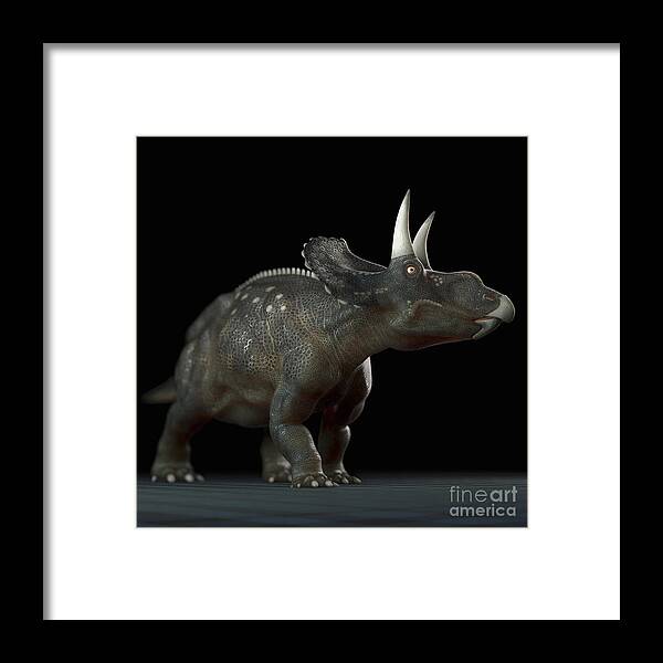 Extinction Framed Print featuring the photograph Dinosaur Diceratops by Science Picture Co