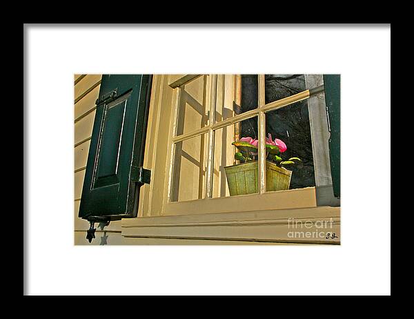 Floral Framed Print featuring the photograph Direct Sun by Geri Glavis