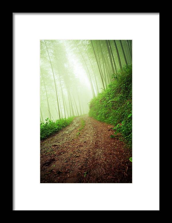 Extreme Terrain Framed Print featuring the photograph Dirt Road Leading Through Foggy Forest by Fzant