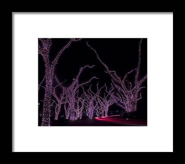 Lighted Trees Framed Print featuring the photograph Disco Trees by Jim Snyder