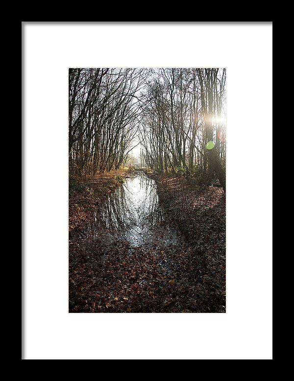 Tranquility Framed Print featuring the photograph Ditch In Autumnal Forest by Roel Meijer