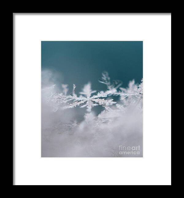 Divine Framed Print featuring the photograph Divine Snowflake by Stacey Zimmerman