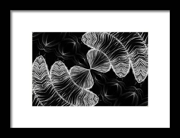 Black And White Framed Print featuring the photograph Division by Kristin Elmquist